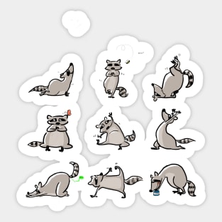 Raccoon Yoga Sticker